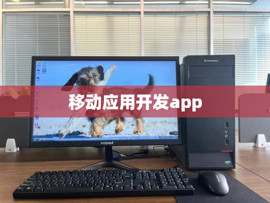 移动应用开发app