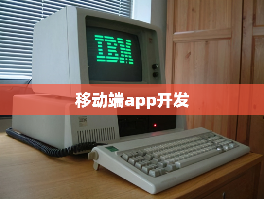 移动端app开发