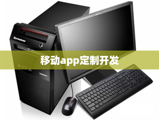 移动app定制开发