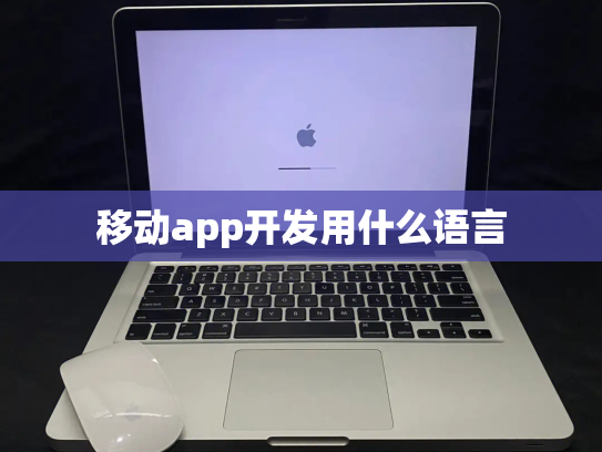 移动app开发用什么语言