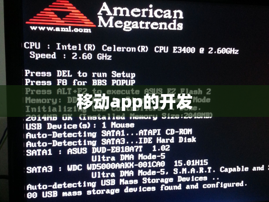 移动app的开发