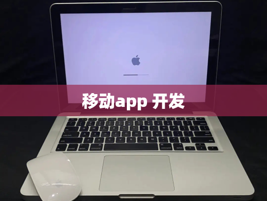移动app 开发
