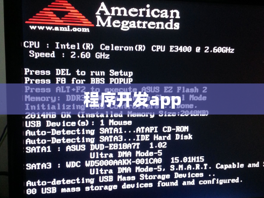 程序开发app