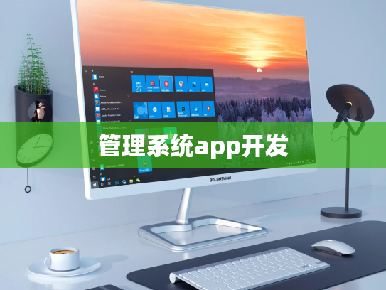 管理系统app开发