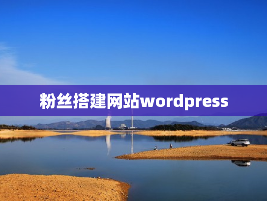 粉丝搭建网站wordpress