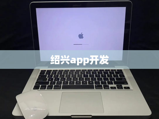 绍兴app开发