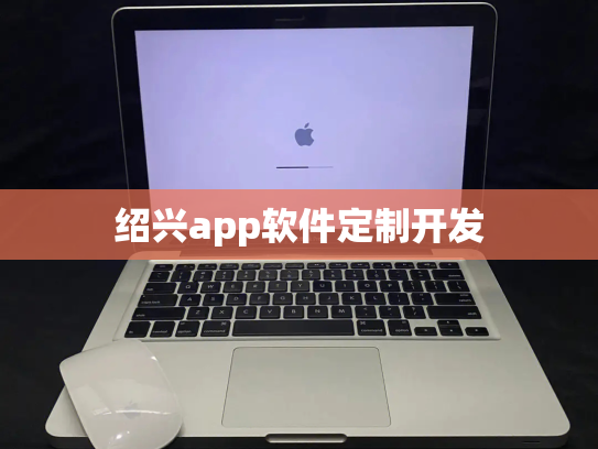 绍兴app软件定制开发