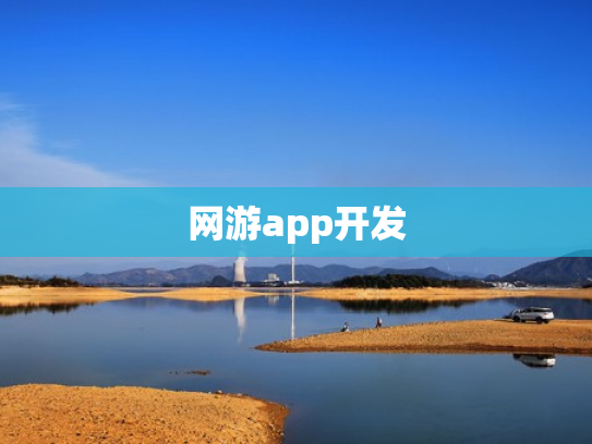 网游app开发