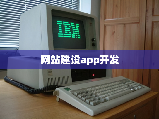 网站建设app开发