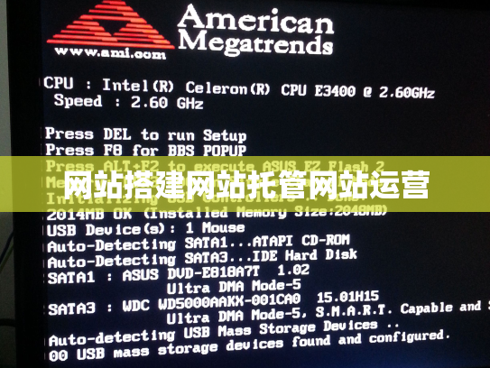 网站搭建网站托管网站运营
