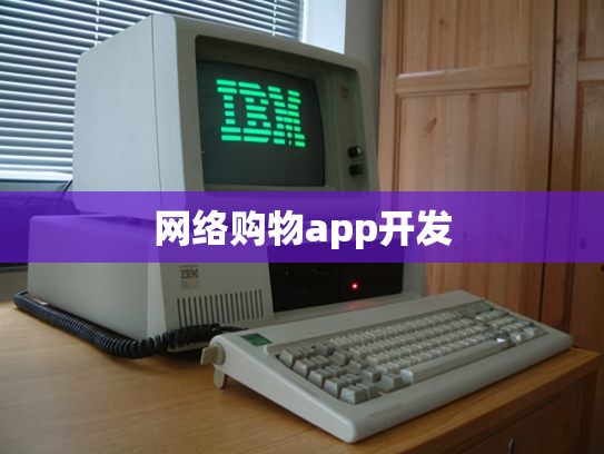 网络购物app开发