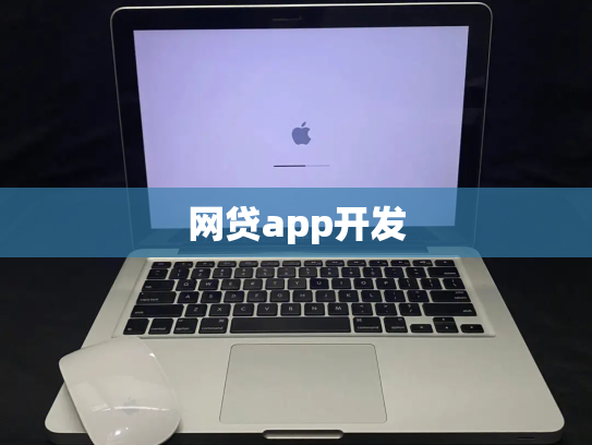 网贷app开发