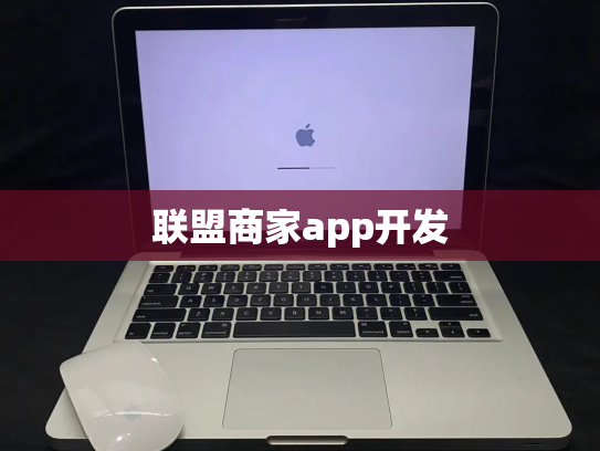 联盟商家app开发
