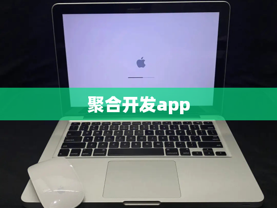 聚合开发app