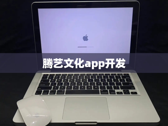 腾艺文化app开发