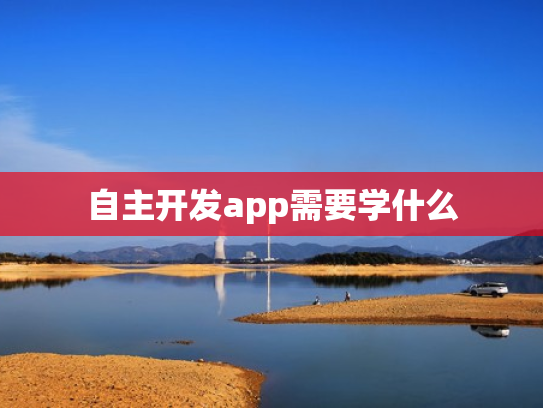 自主开发app需要学什么