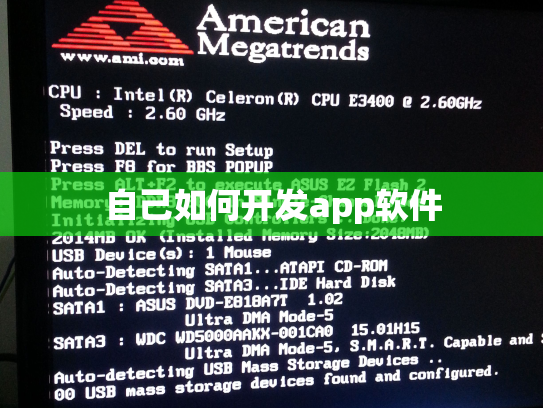 自己如何开发app软件