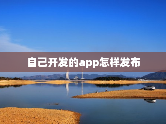 自己开发的app怎样发布