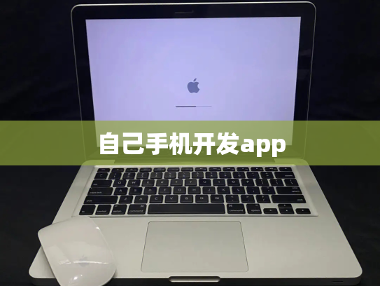 自己手机开发app