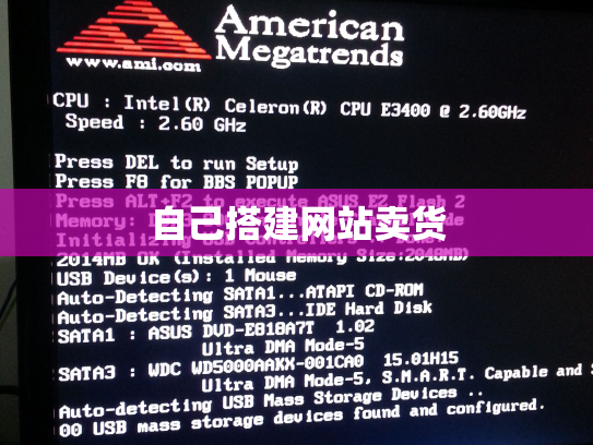 自己搭建网站卖货