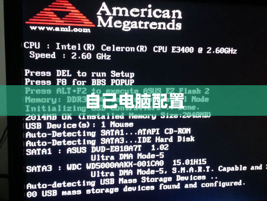 自己电脑配置