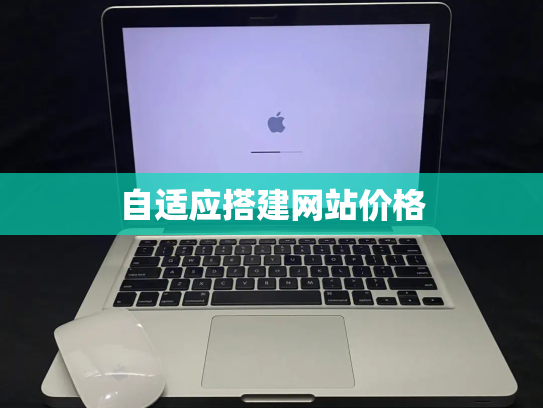 自适应搭建网站价格
