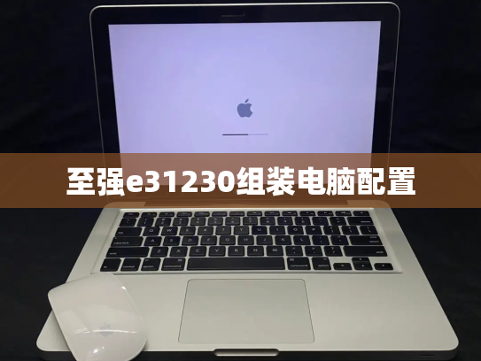 至强e31230组装电脑配置