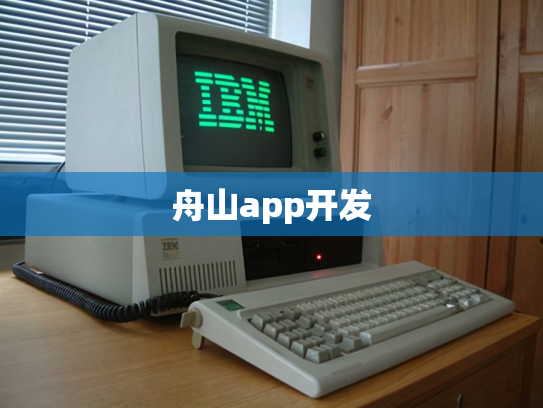 舟山app开发