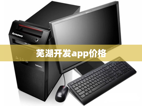 芜湖开发app价格