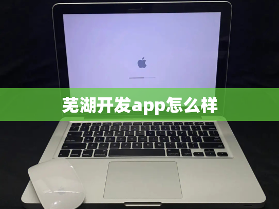 芜湖开发app怎么样