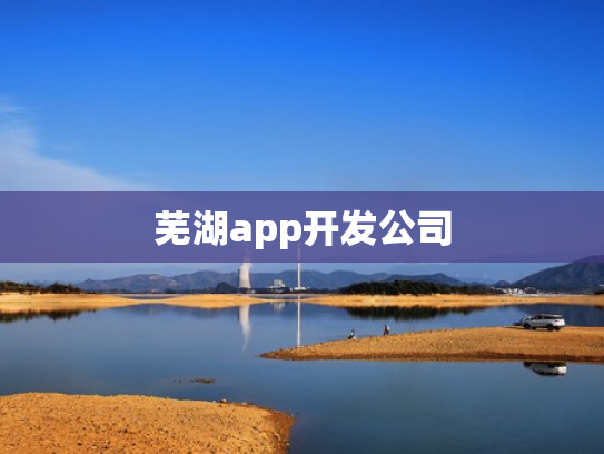 芜湖app开发公司