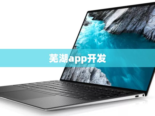 芜湖app开发