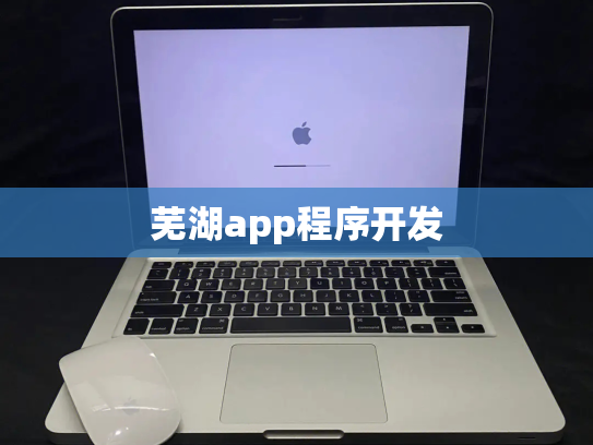 芜湖app程序开发