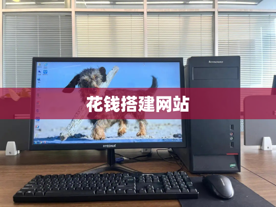 花钱搭建网站