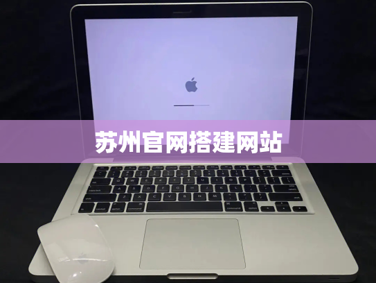 苏州官网搭建网站