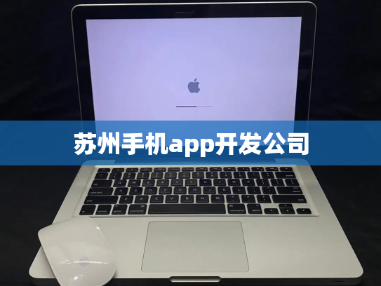 苏州手机app开发公司