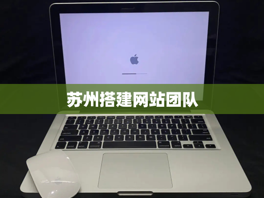 苏州搭建网站团队