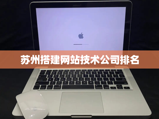 苏州搭建网站技术公司排名