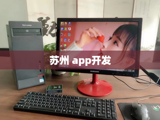 苏州 app开发