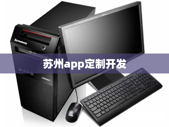 苏州app定制开发