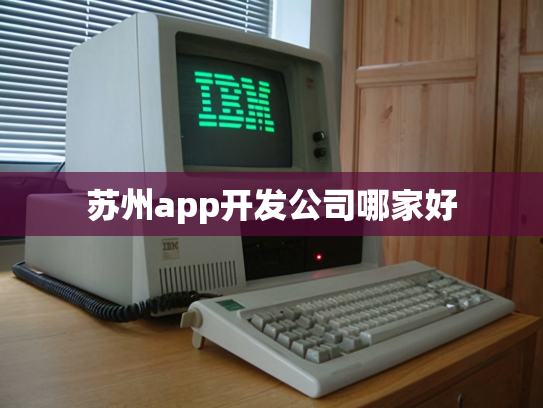 苏州app开发公司哪家好