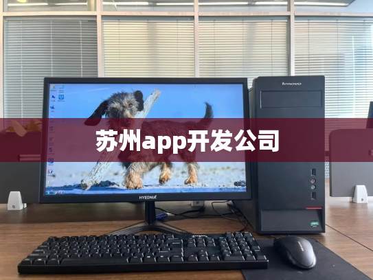 苏州app开发公司