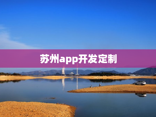 苏州app开发定制