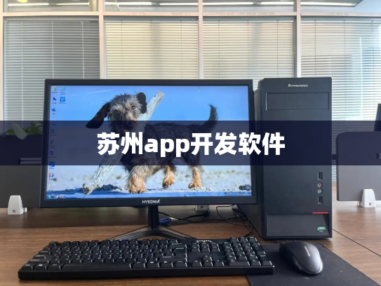 苏州app开发软件