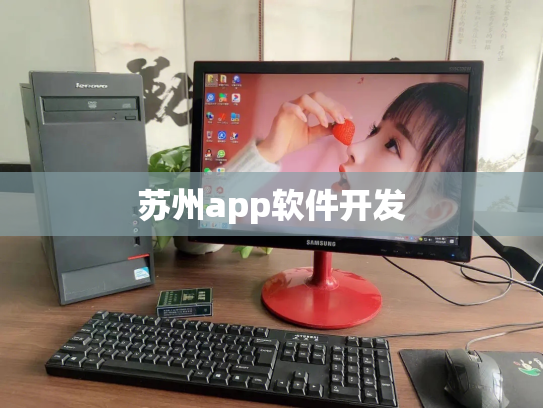 苏州app软件开发