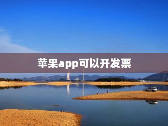 苹果app可以开发票