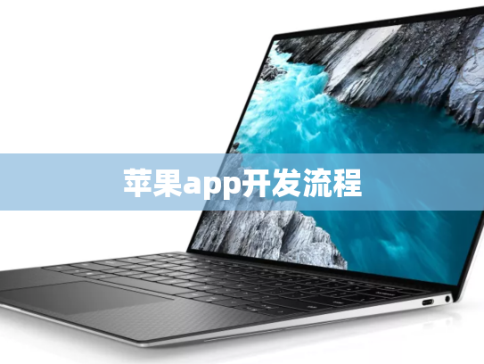 苹果app开发流程