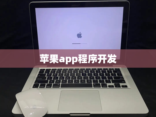 苹果app程序开发
