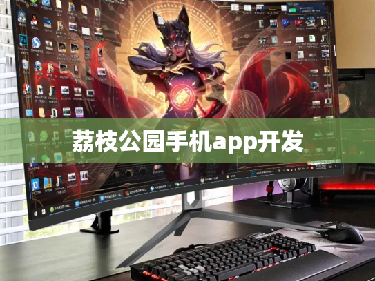 荔枝公园手机app开发
