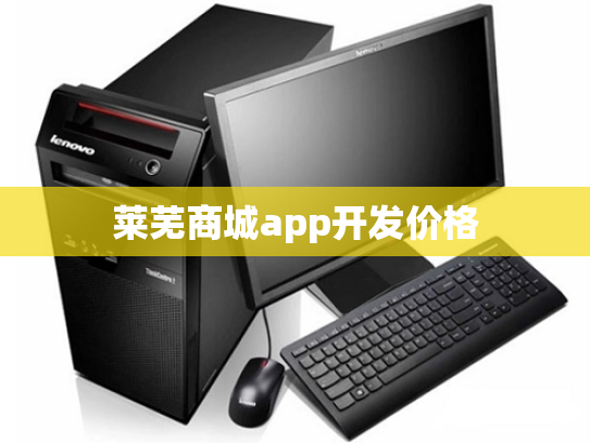 莱芜商城app开发价格